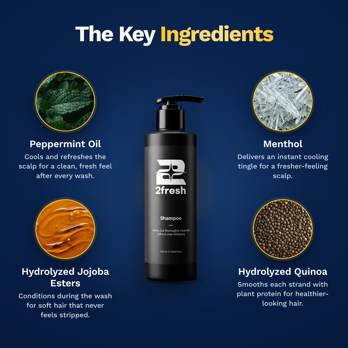 2fresh Shampoo key ingredients: peppermint oil, menthol, hydrolyzed jojoba esters and hydrolyzed quinoa